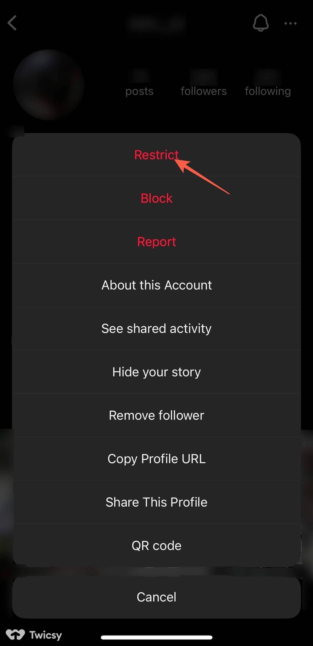 What Does Restrict Mean on Instagram 9