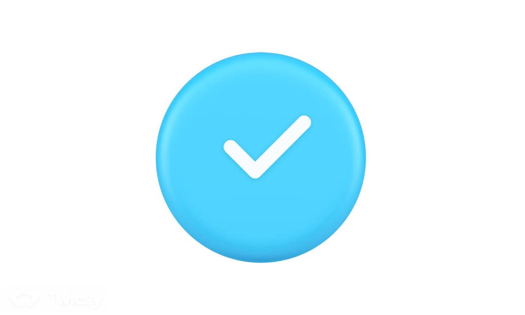 Why Get Verified on TikTok?