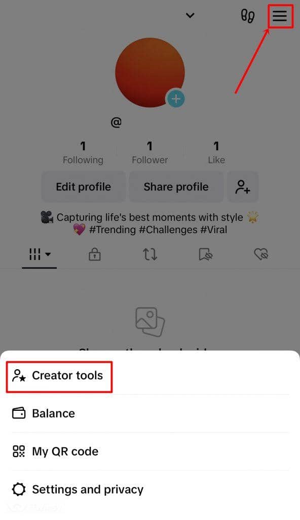 TikTok Analytics to Grow Your Account and Connect with Your Audience 1