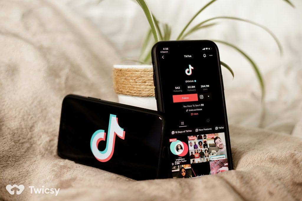 Find Influencers on TikTok