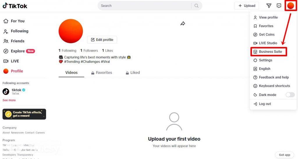 TikTok Analytics to Grow Your Account and Connect with Your Audience 3