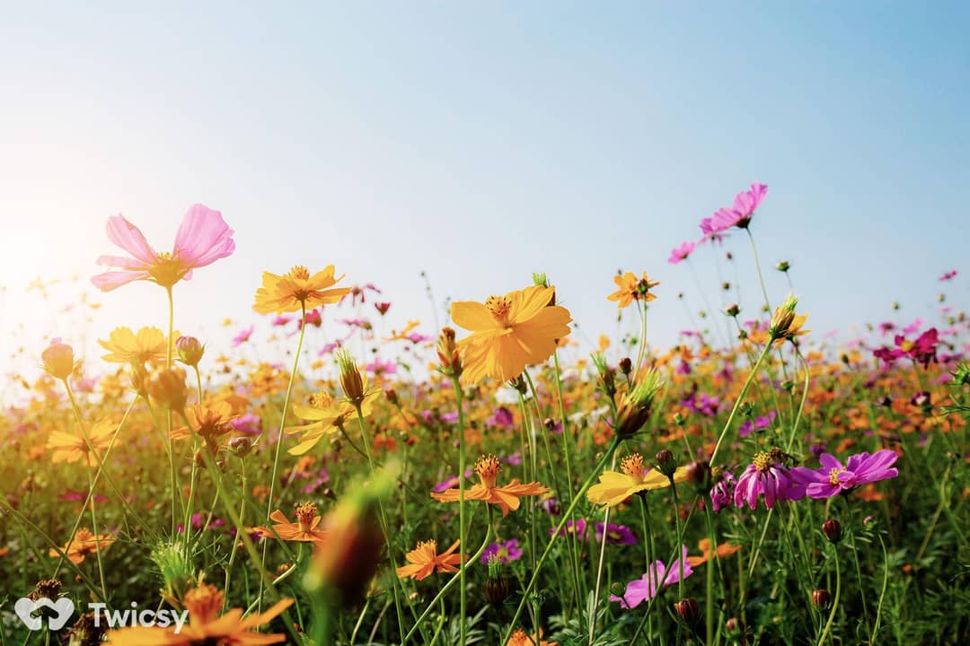 Cute Spring Captions for Instagram
