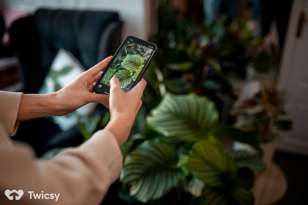 Inspiring Plant Instagram Captions