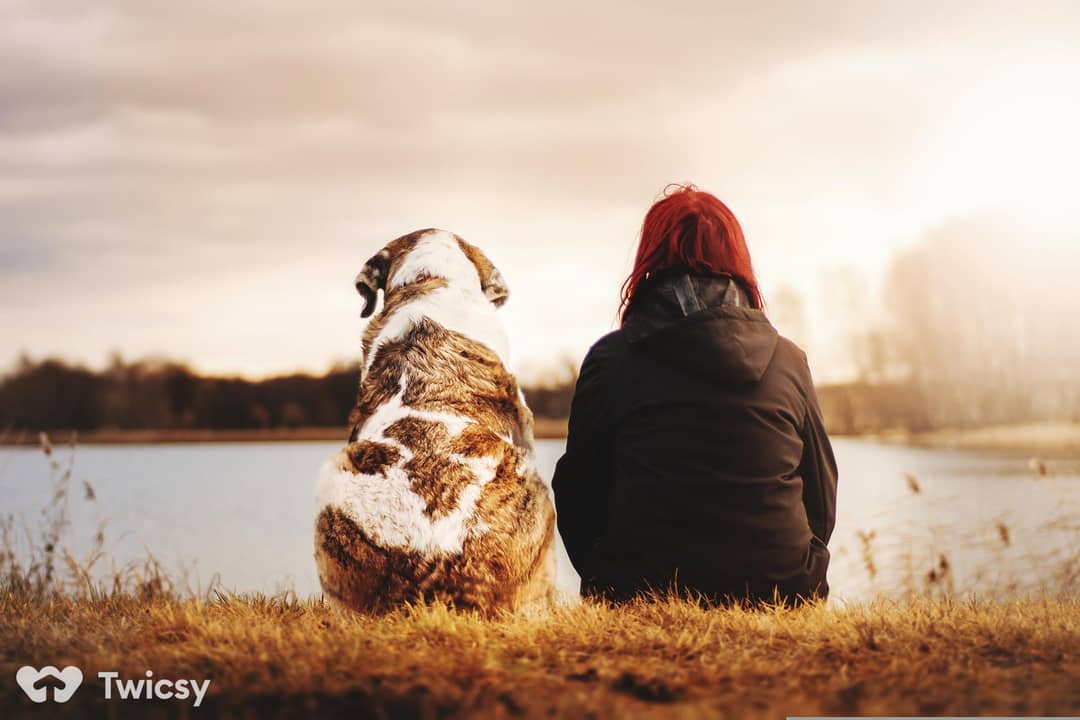 Valentines Captions for Instagram About Pet Love