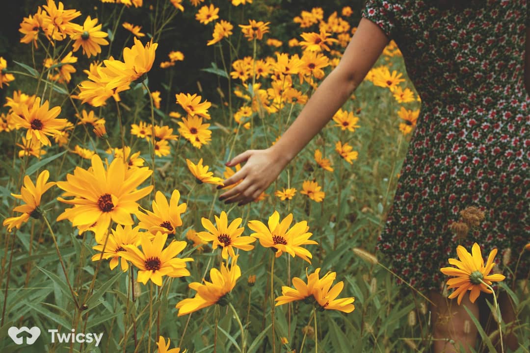 Instagram Aesthetic Captions for Flowers
