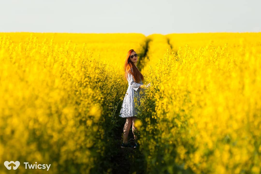 Yellow Instagram Captions About Flowers and Nature
