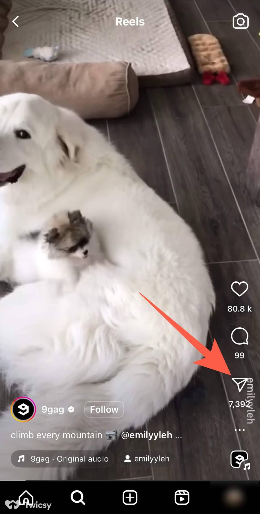 How to Repost a Reel On Instagram 1