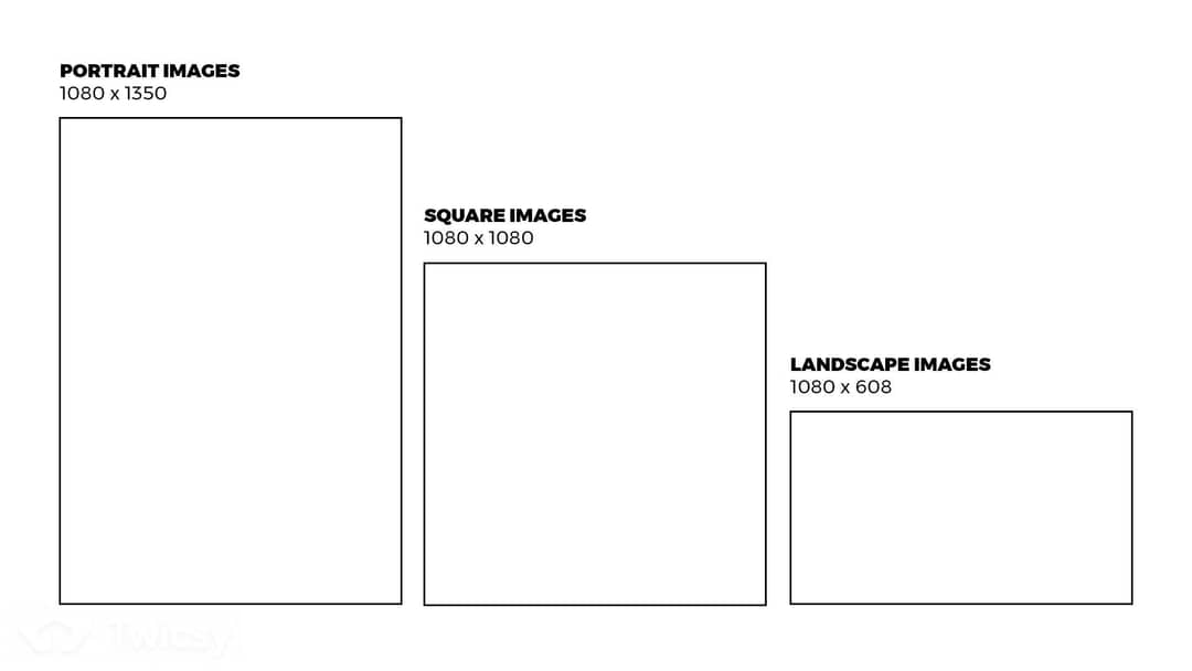 Instagram Format in Different Sizes