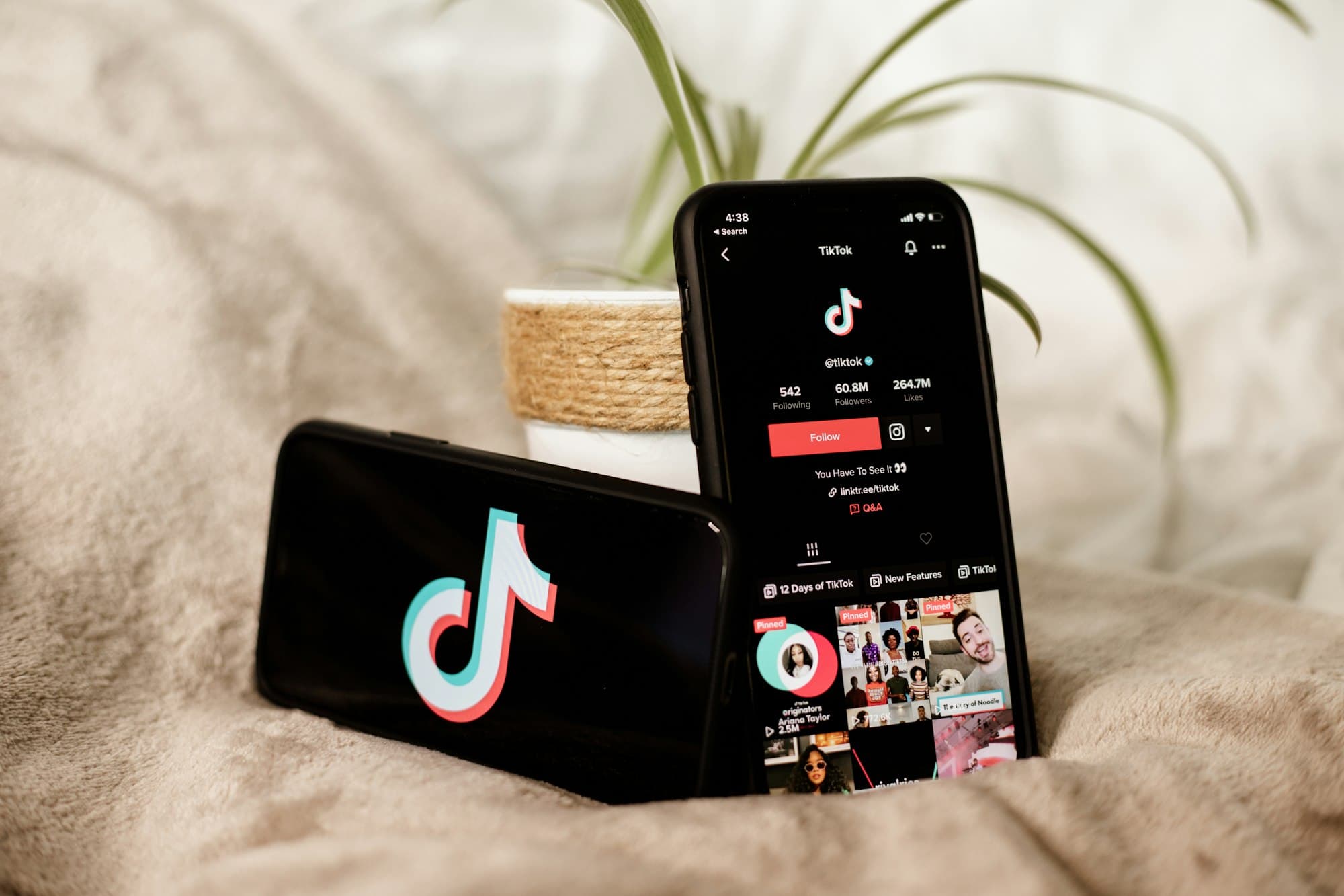 Your Latest Must-Watch Series… on TikTok?!